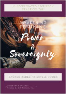 Priestess Codex cover